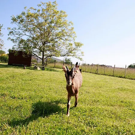 La Chouette Roulotte