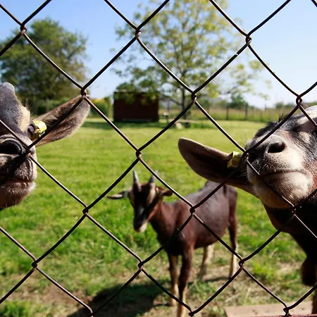 La Chouette Roulotte 아파트