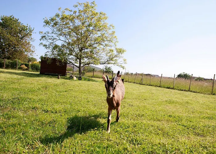 La Chouette Roulotte